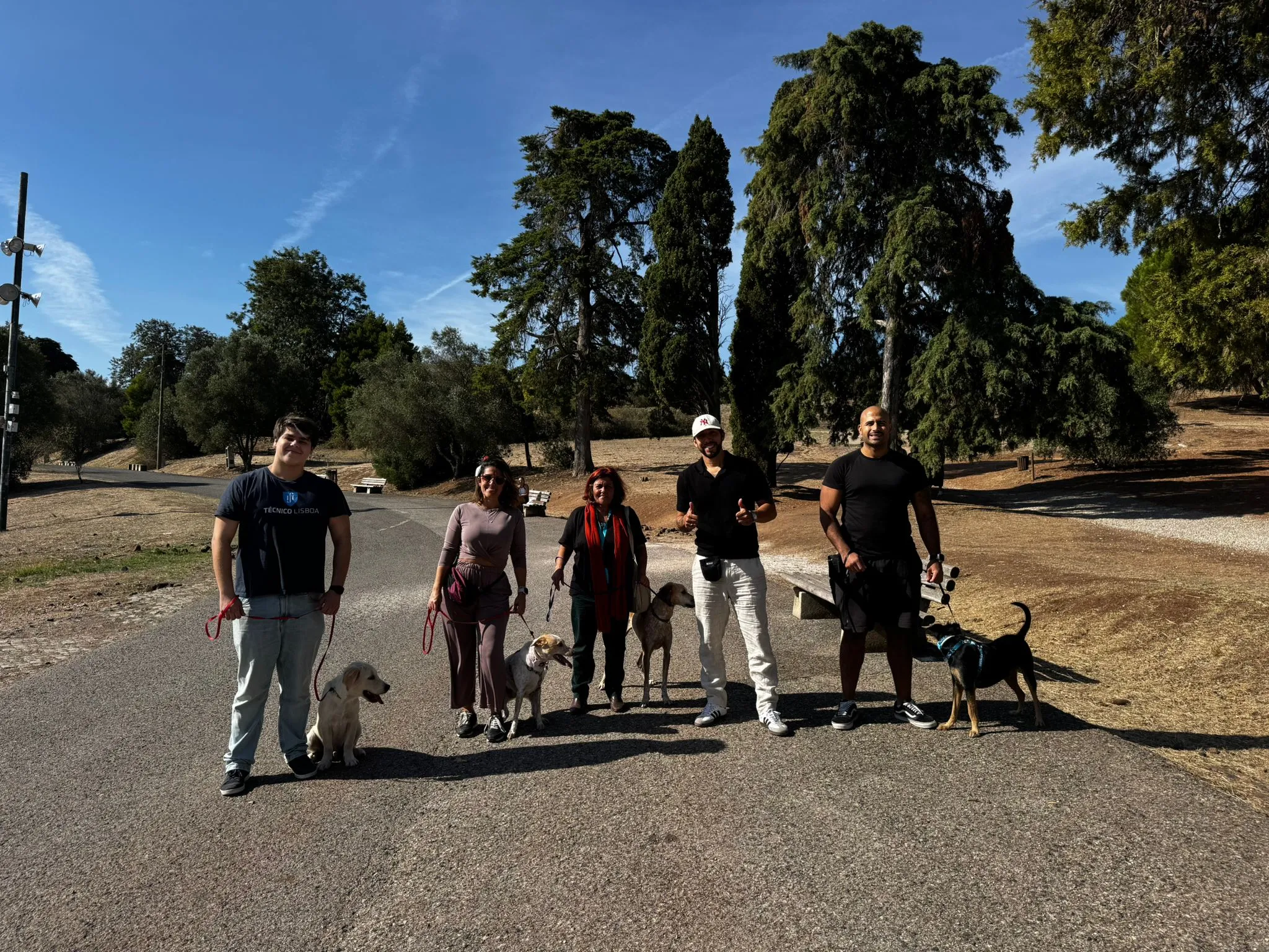 Trabalho com Cães